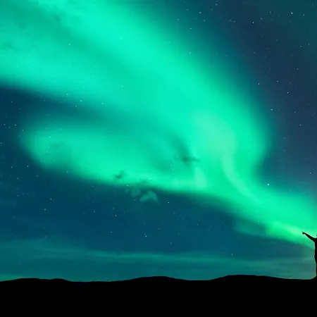 Aurora Nest *